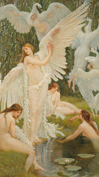 Accessories and Home